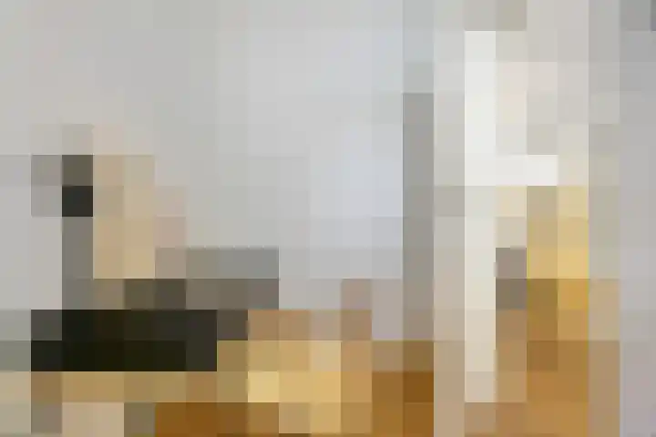 Cornelis Trooststraat 57 3 Amsterdam thumbnail 14