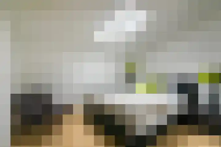 Cornelis van Norrenstraat 10 Bussum thumbnail 23