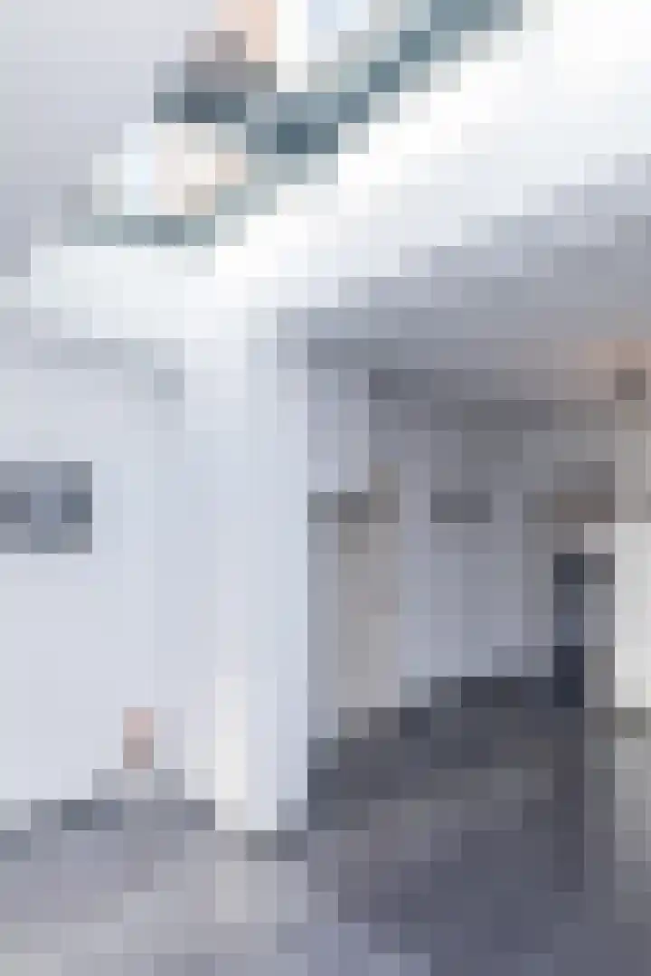 Cornelisstraat 3 Geleen thumbnail 19