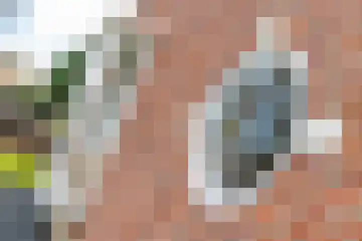 Cornelisstraat 3 Geleen thumbnail 44