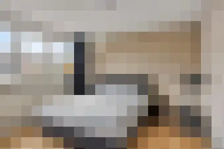 Cornetpad 8 Helmond thumbnail 15