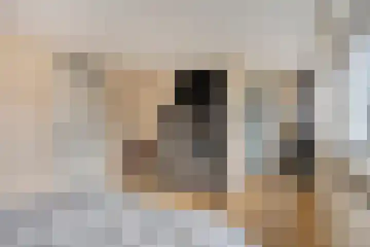 Cornetpad 8 Helmond thumbnail 16