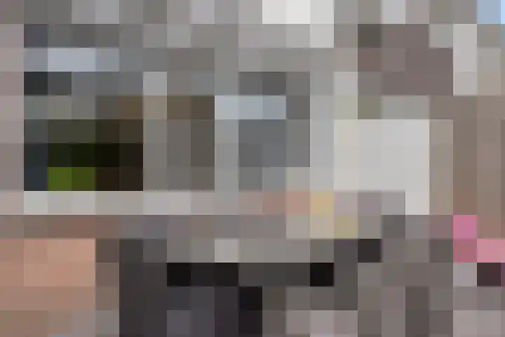Cornetpad 8 Helmond thumbnail 25