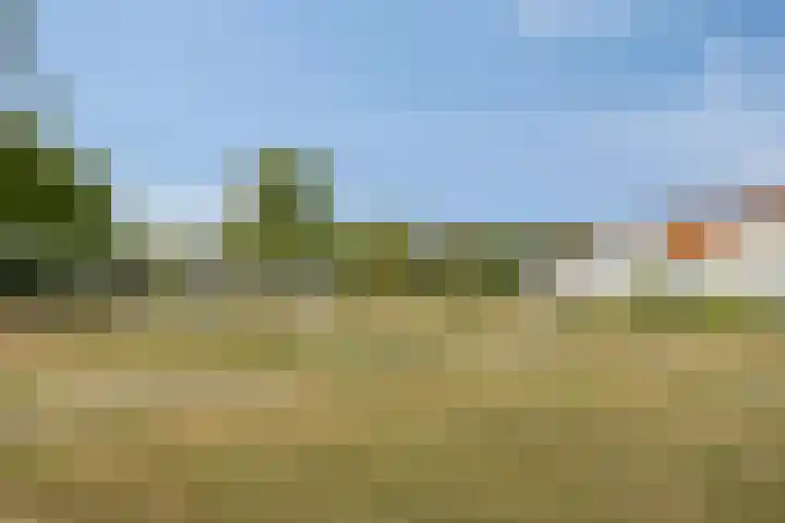 Cornetpad 8 Helmond thumbnail 28