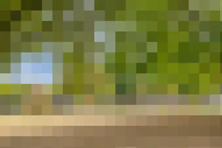 Cornetpad 8 Helmond thumbnail 29