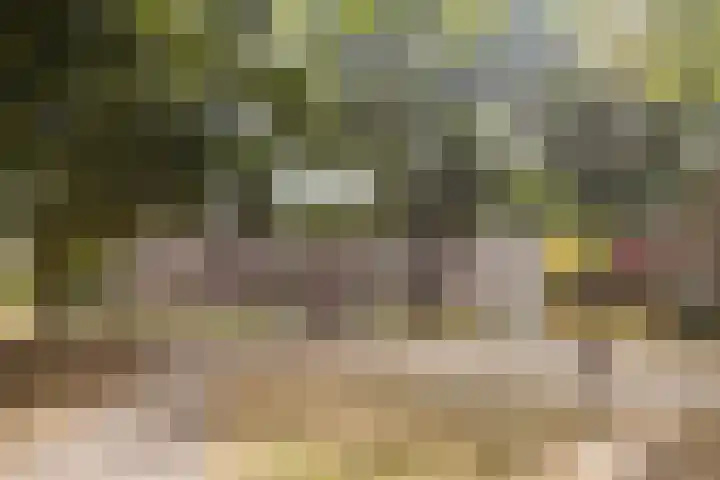 Cornetpad 8 Helmond thumbnail 30