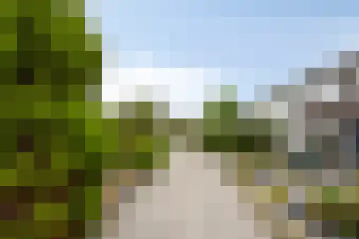 Cornetpad 8 Helmond thumbnail 31