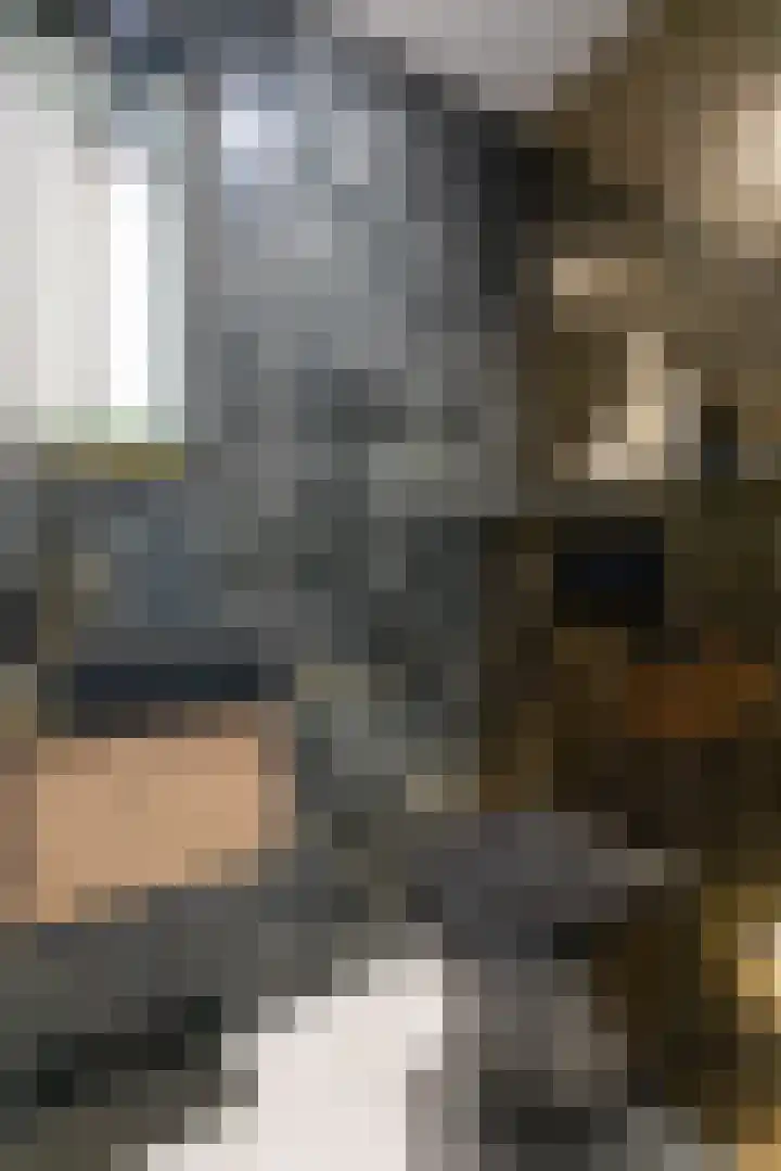 Cornetstraat 26 Duiven thumbnail 12