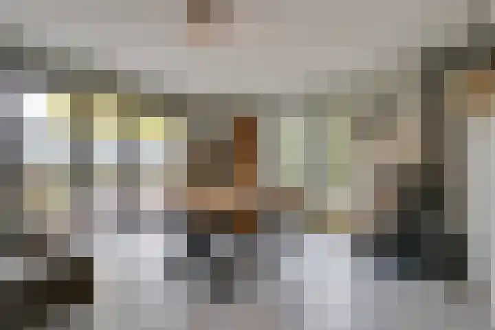 Cornetstraat 26 Duiven thumbnail 18