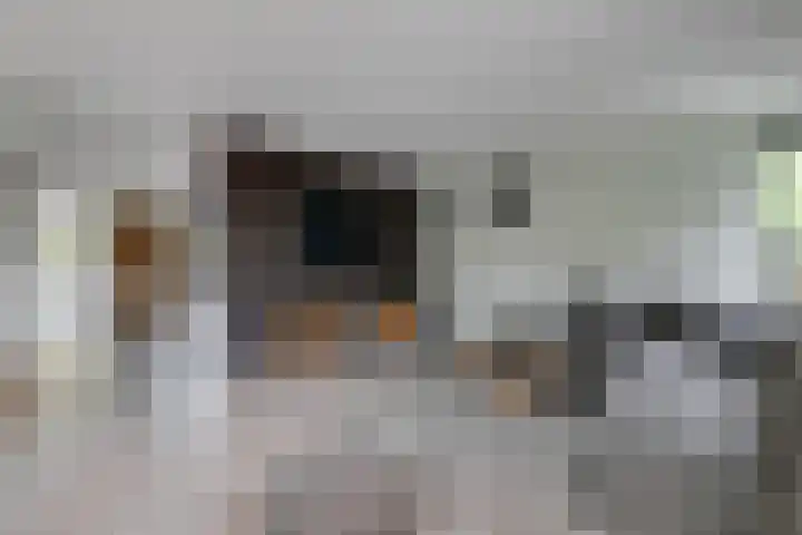 Cornetstraat 26 Duiven thumbnail 20