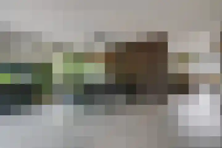 Cornetstraat 26 Duiven thumbnail 23