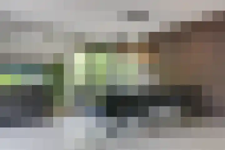 Cornetstraat 26 Duiven thumbnail 24