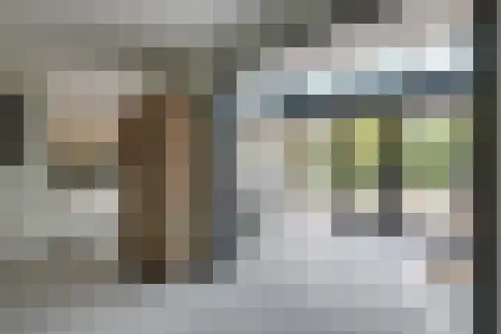 Cornetstraat 26 Duiven thumbnail 27