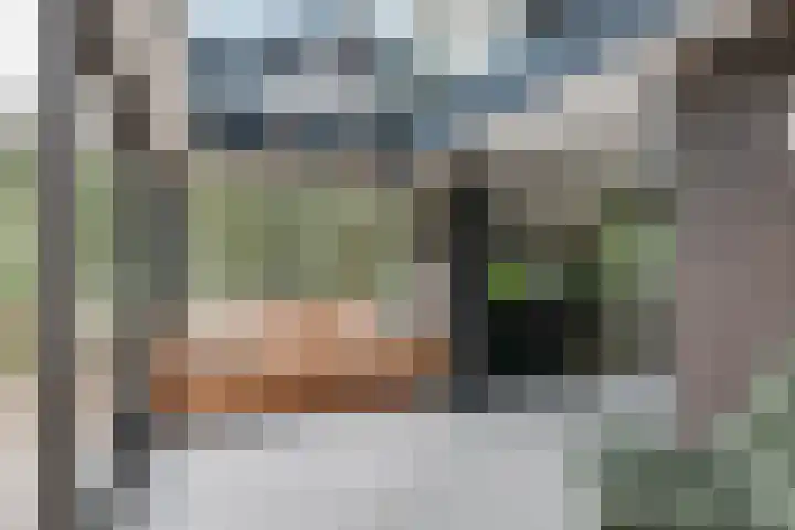 Cornetstraat 26 Duiven thumbnail 33