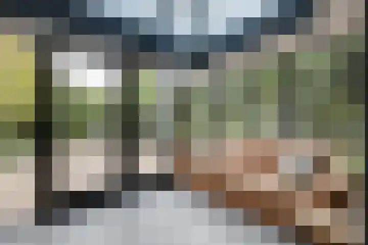 Cornetstraat 26 Duiven thumbnail 35
