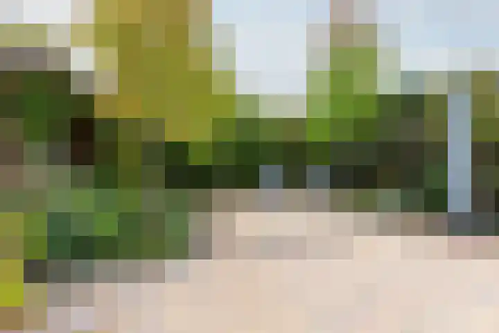 Cornetstraat 26 Duiven thumbnail 37