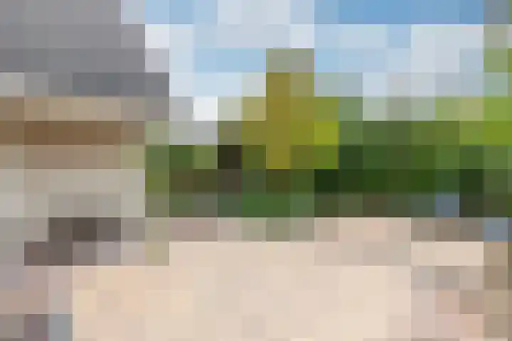 Cornetstraat 26 Duiven thumbnail 39