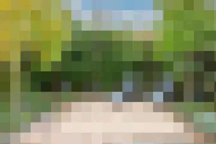 Cornetstraat 26 Duiven thumbnail 40