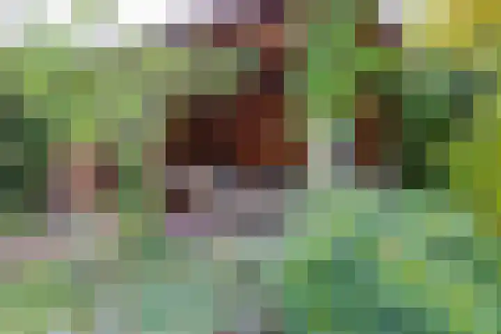 Cornetstraat 26 Duiven thumbnail 41