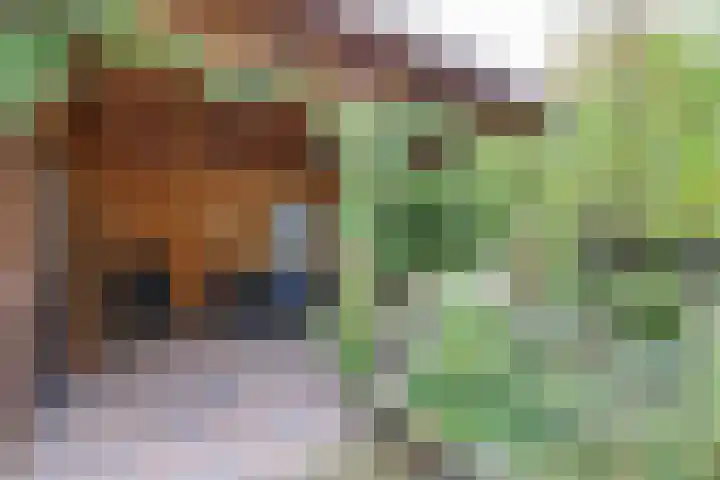 Cornetstraat 26 Duiven thumbnail 43