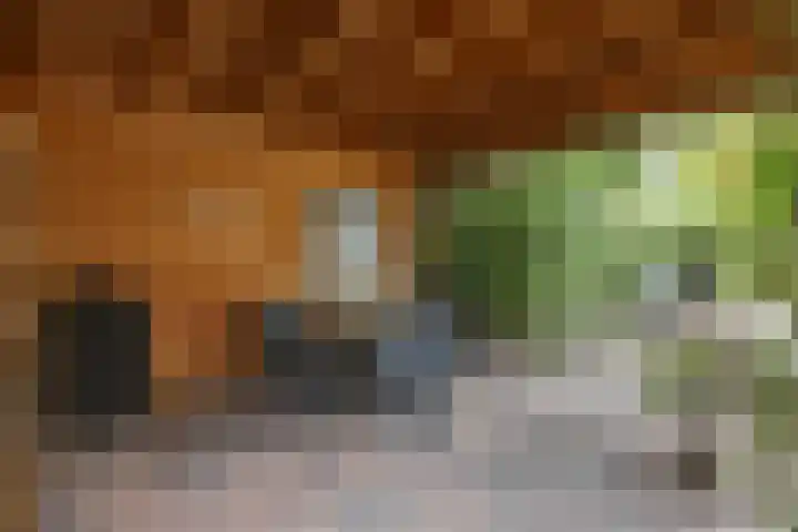 Cornetstraat 26 Duiven thumbnail 44