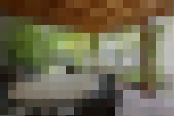 Cornetstraat 26 Duiven thumbnail 45