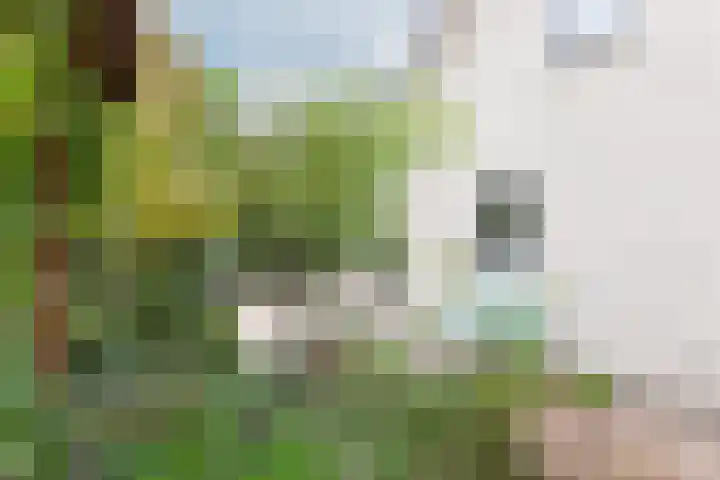 Cornetstraat 26 Duiven thumbnail 46