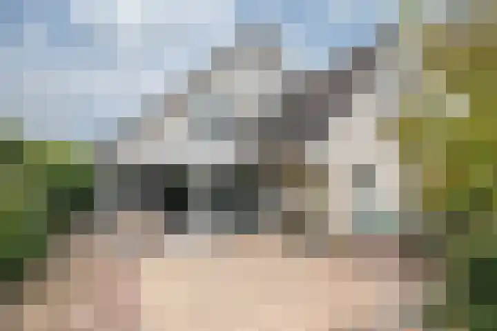 Cornetstraat 26 Duiven thumbnail 47