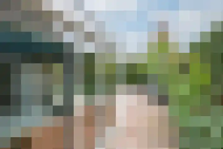 Cornetstraat 26 Duiven thumbnail 48