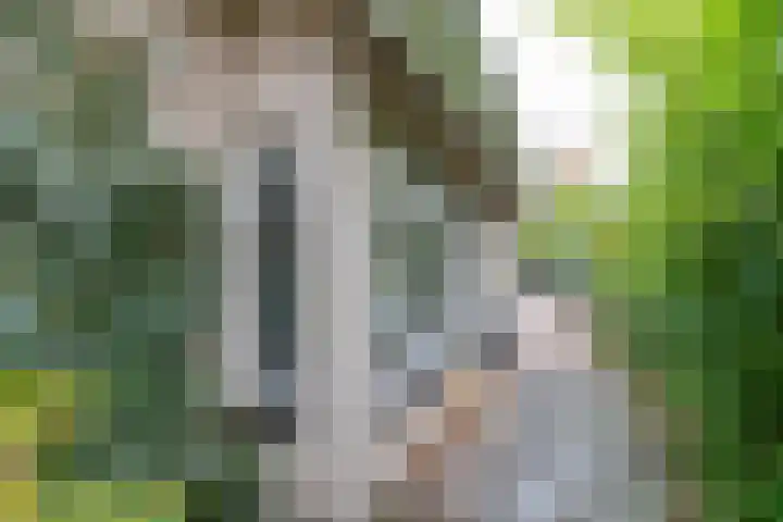 Cornetstraat 26 Duiven thumbnail 49