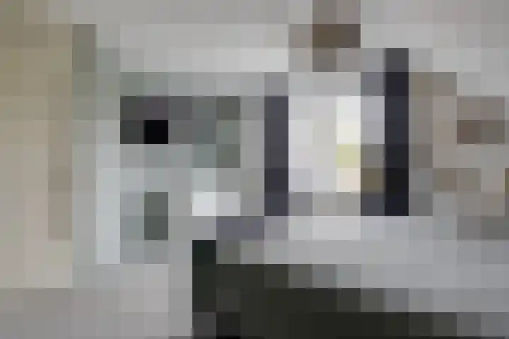 Cornetstraat 26 Duiven thumbnail 58