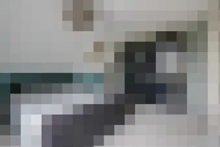 Cornetstraat 26 Duiven thumbnail 59