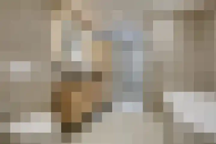 Cornetstraat 26 Duiven thumbnail 65