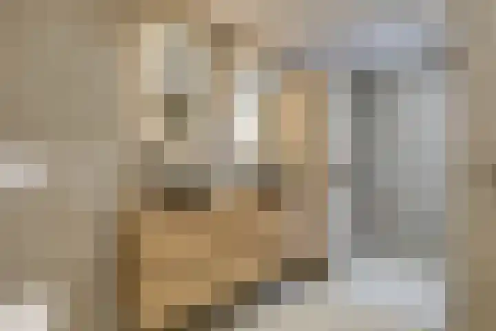 Cornetstraat 26 Duiven thumbnail 68