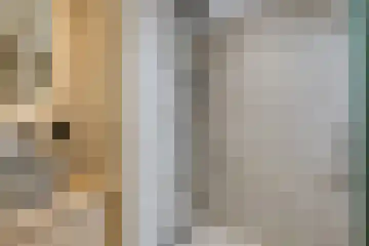 Cornetstraat 26 Duiven thumbnail 69