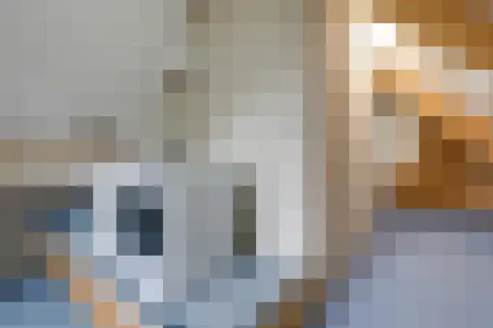Cornetstraat 26 Duiven thumbnail 72