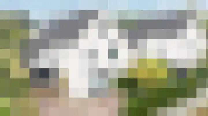 Cornetstraat 26 Duiven thumbnail 79