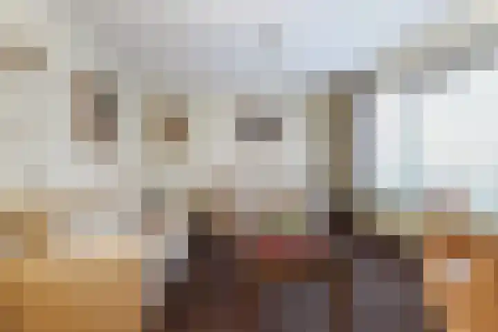 Corpus 23 Boxtel thumbnail 12