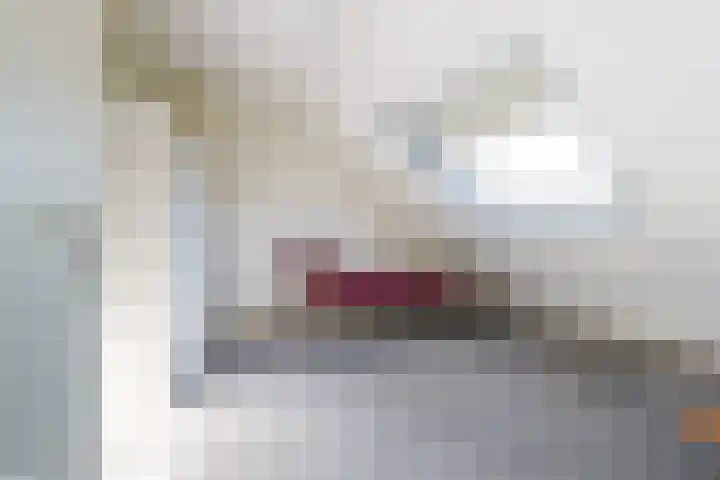 Corpus 23 Boxtel thumbnail 33