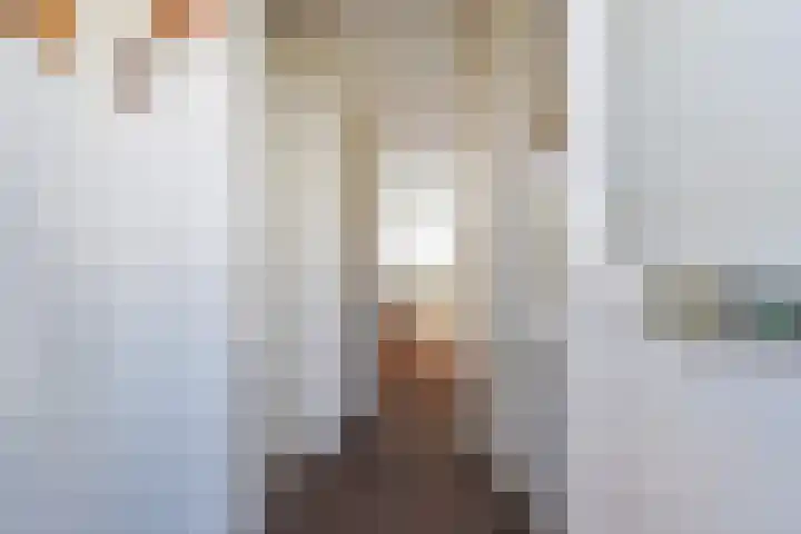 Corpus 23 Boxtel thumbnail 4