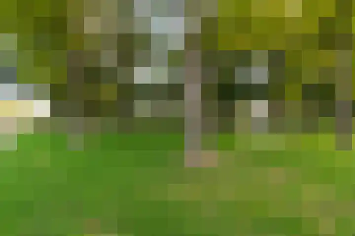 Corpus 23 Boxtel thumbnail 43
