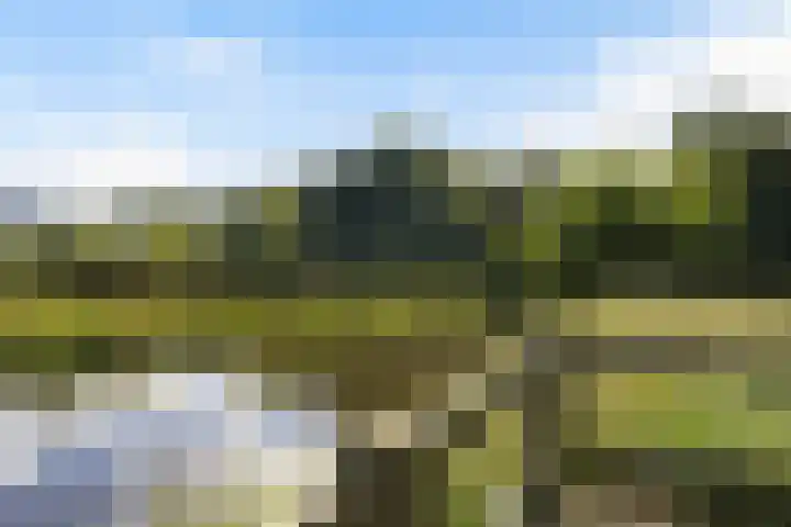 Corpus 23 Boxtel thumbnail 45