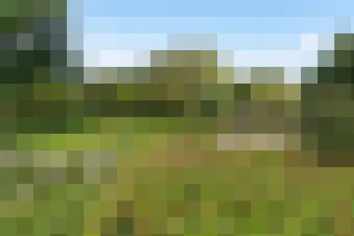 Corpus 23 Boxtel thumbnail 46