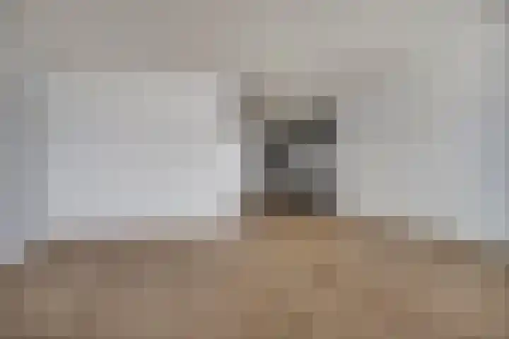 Corridor 37 B Valkenswaard thumbnail 10