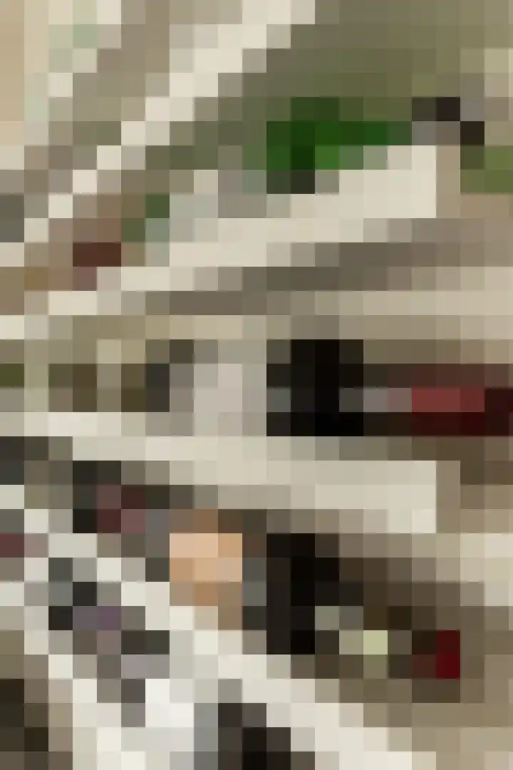 Corsicastraat 11 Almere thumbnail 17