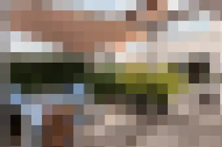 Corsicastraat 11 Almere thumbnail 22