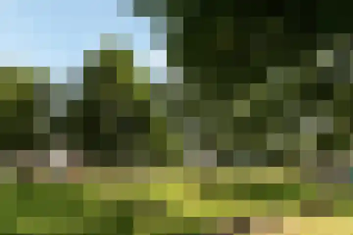 Corsicastraat 11 Almere thumbnail 37