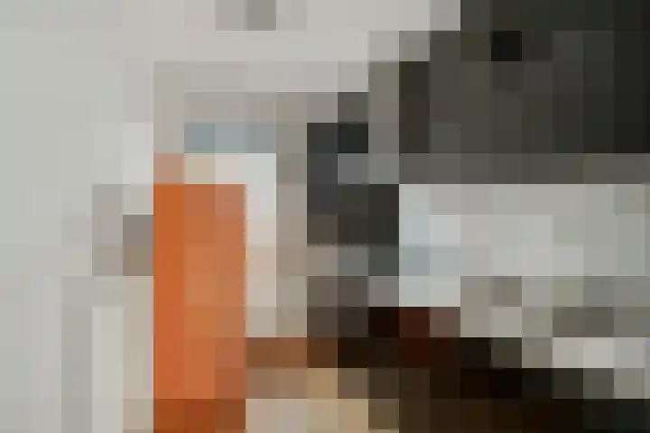 Corso 17 Huissen thumbnail 10