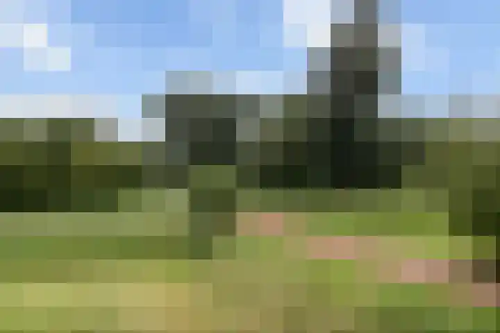 Corso 17 Huissen thumbnail 15