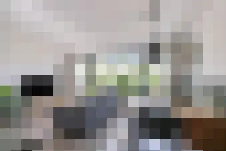 Corso 2 Huissen thumbnail 11